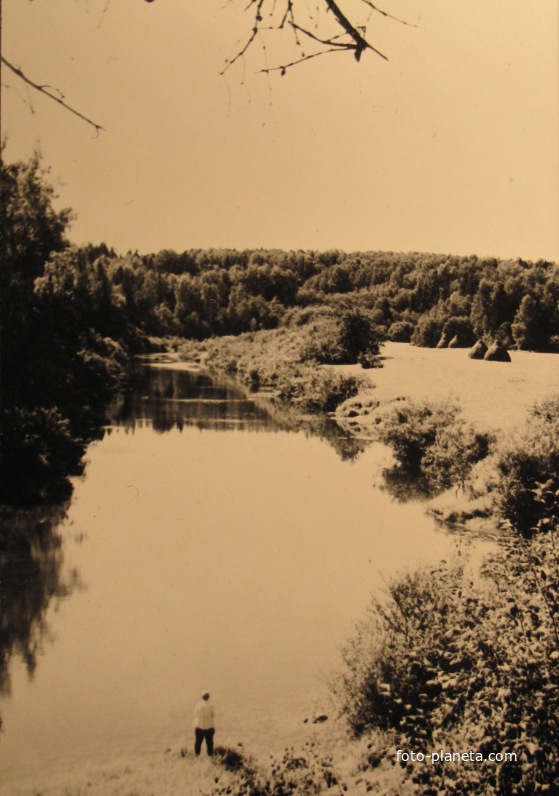 вид на р.Соть в километре ниже по течению от д.Шишкино в 1957 году
