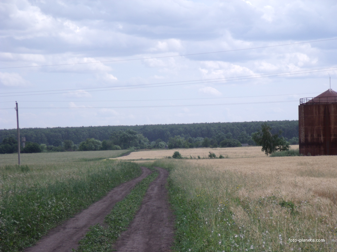 дорога в Вышне-Столбецкое