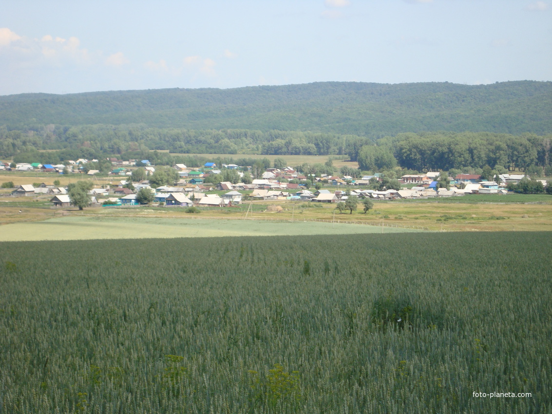 Карта село янурусово