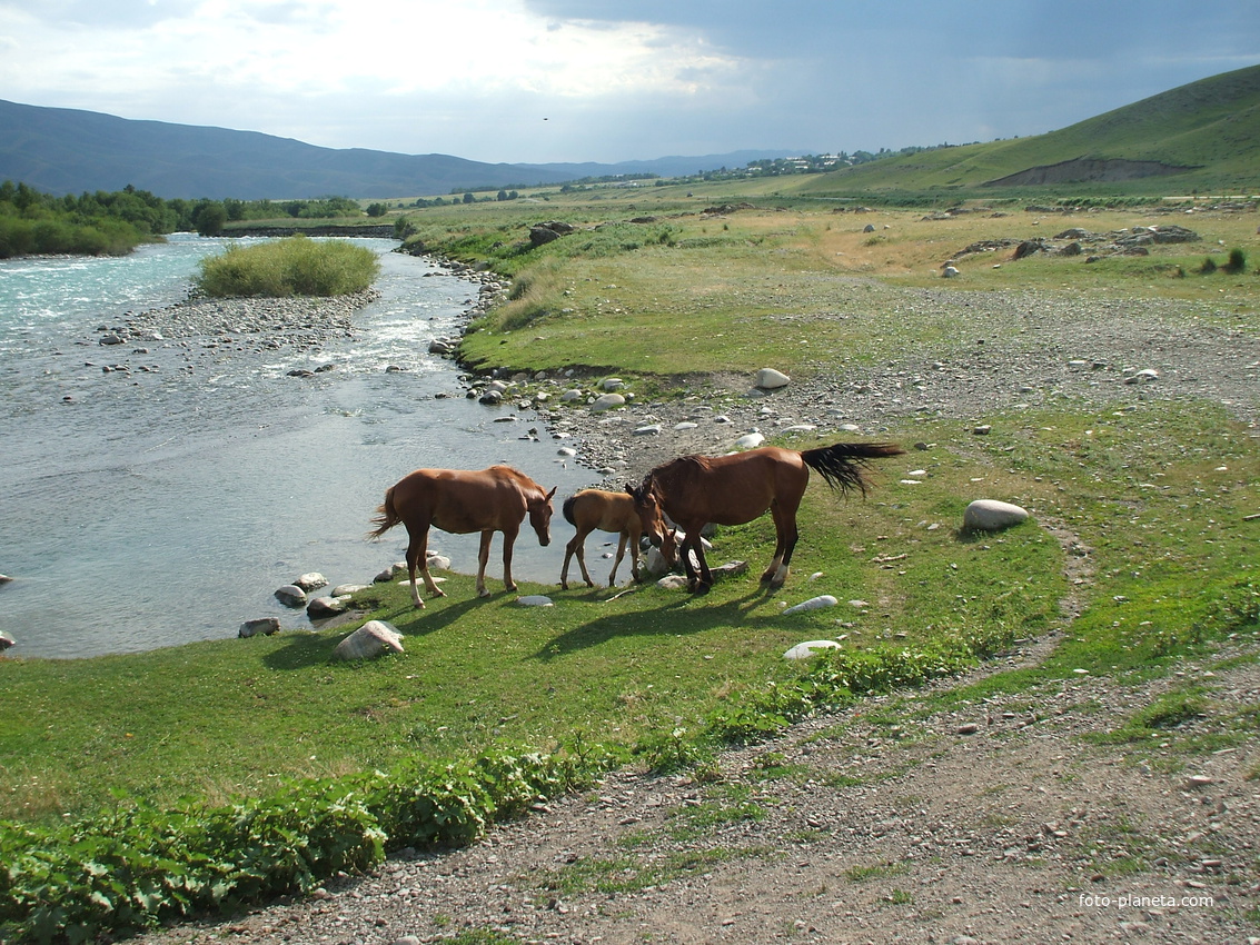 У реки