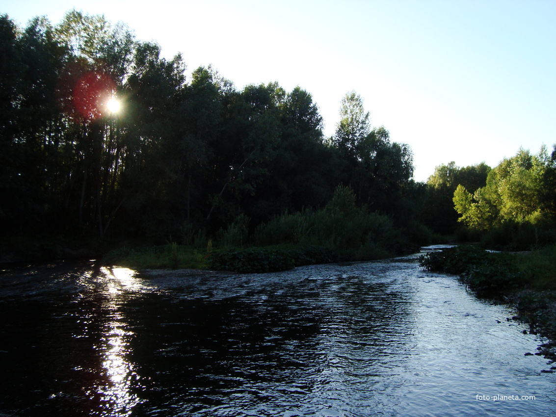 Алтайский край курьинский. Река Локтевка Алтайский край. Село Усть-Таловка Алтайский край. Село Усть Таловка Алтайский край Курьинский район. Река Локтевка Курьинский район.