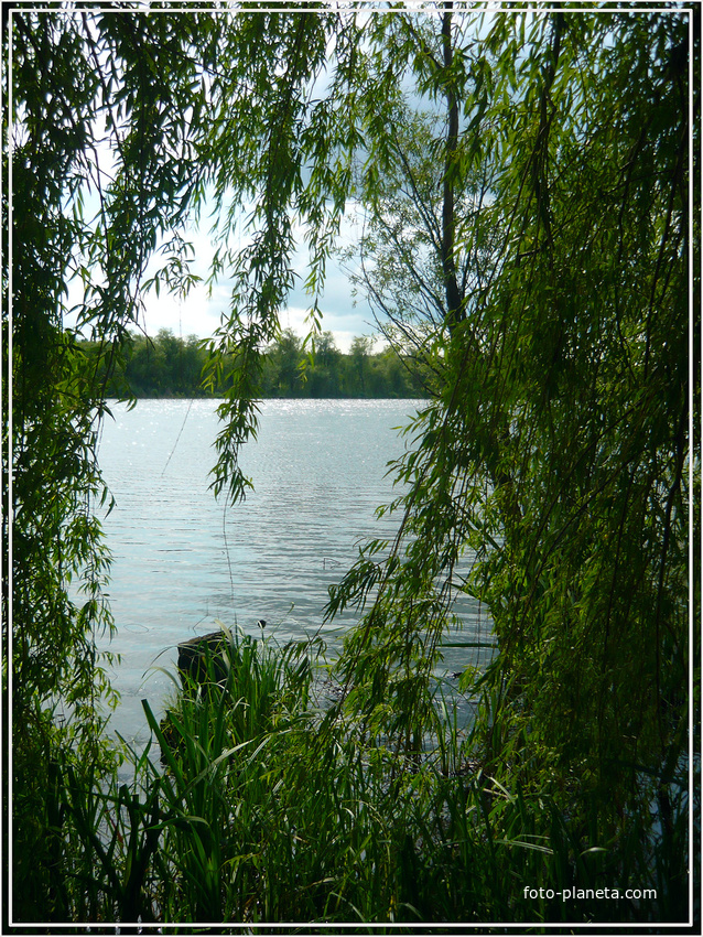 Полдень на озере. июнь 2010