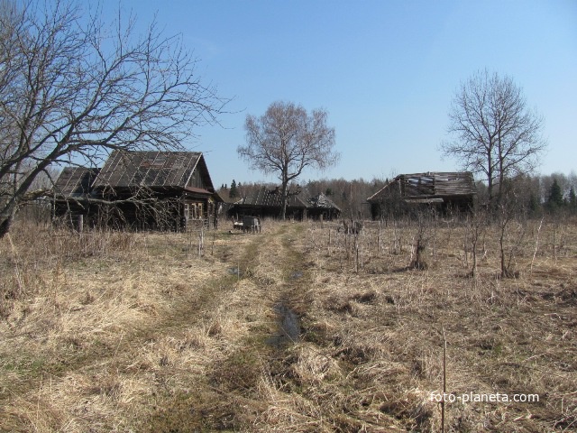 останки бывшего жилья в д.Гудово, весна 2010 года
