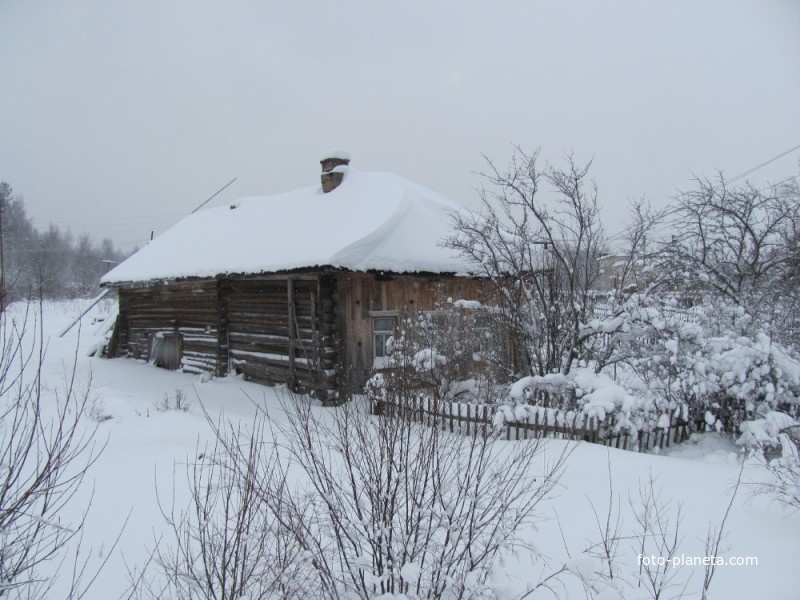 последняя изба в д.Гасниково, снимок 2010 года