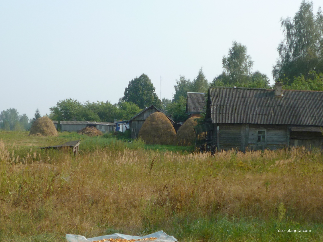 Баботки. Вид на бывшие огороды