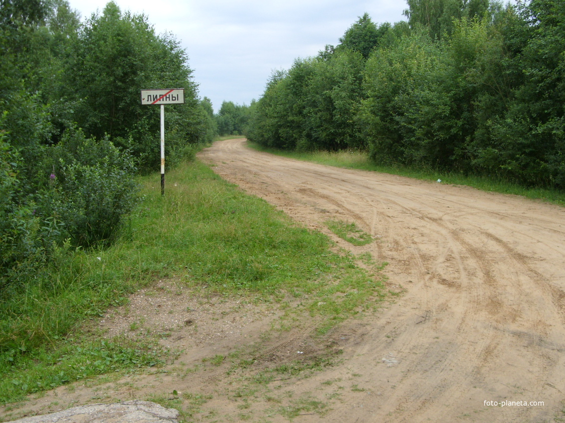 деревенская дорога