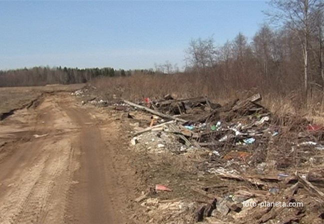 у д.Глездево, 2009 год, дорога к бывшему погосту Еликову.