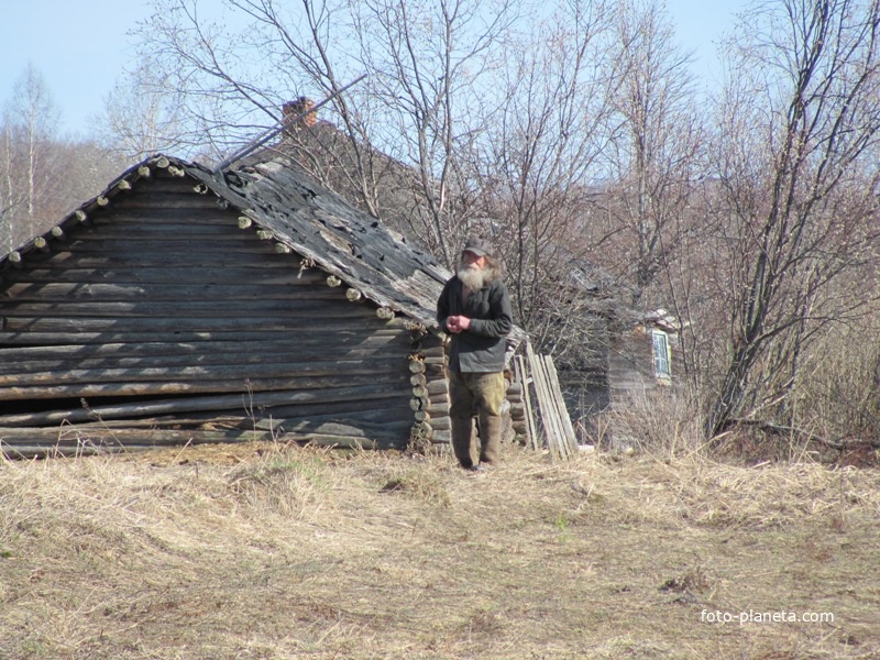 д.Косово, весна 2011 года. Единственный постоянный житель.