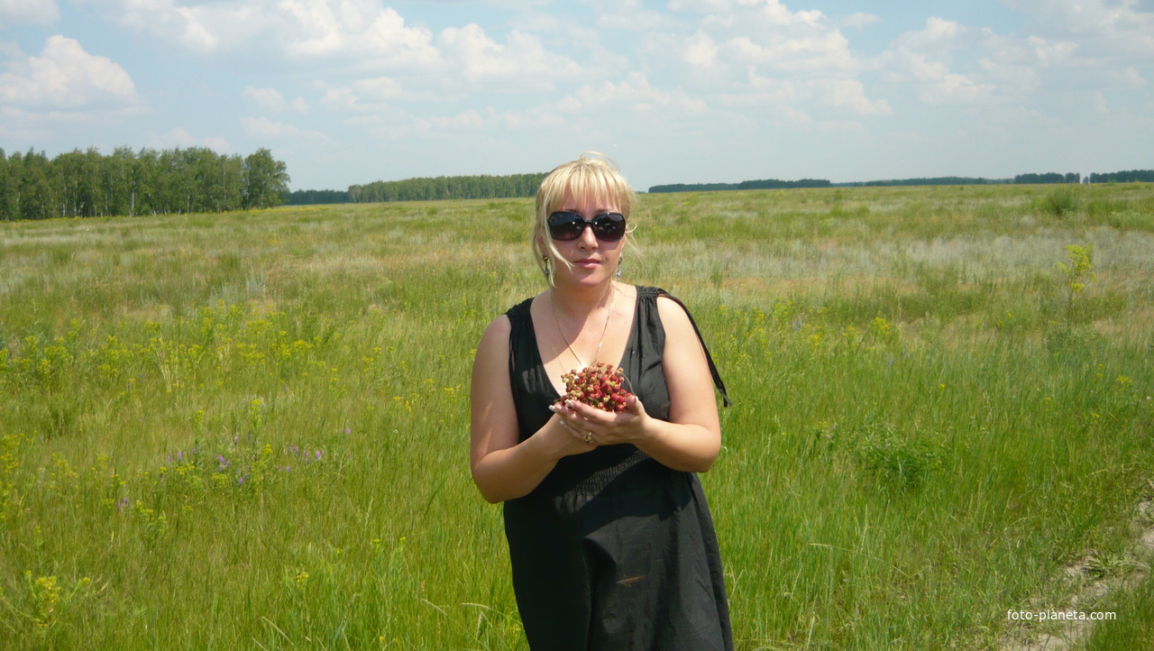 поля между Михайловкой и Буденым,июль 2011