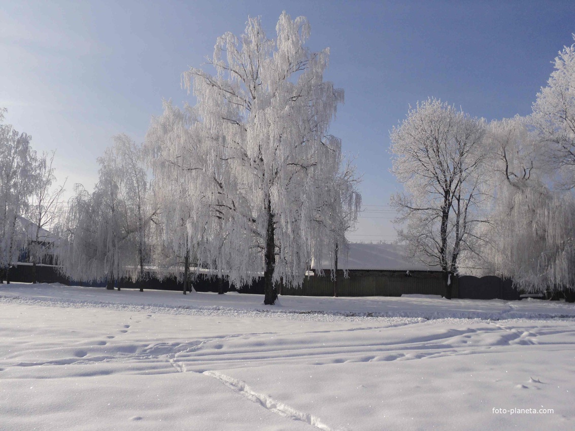 Зима в Московском Бобрике
