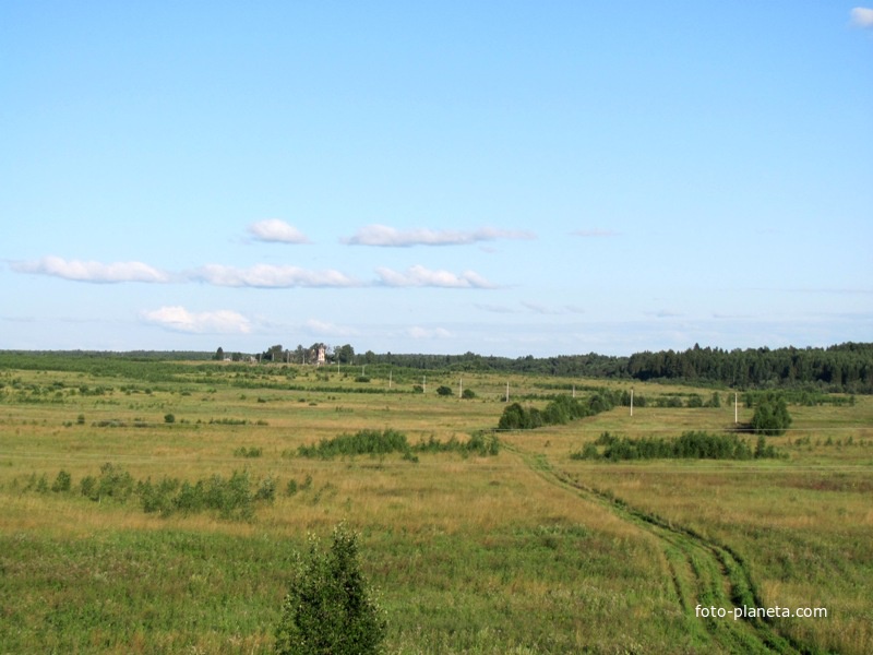 д.Реброво, вид с дороги г.Данилов-с.Покров, лето 2011 года.