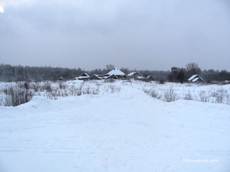 д.Распутьево, вид с дороги с.Покров - д.Шишкино, зима 2010 года.