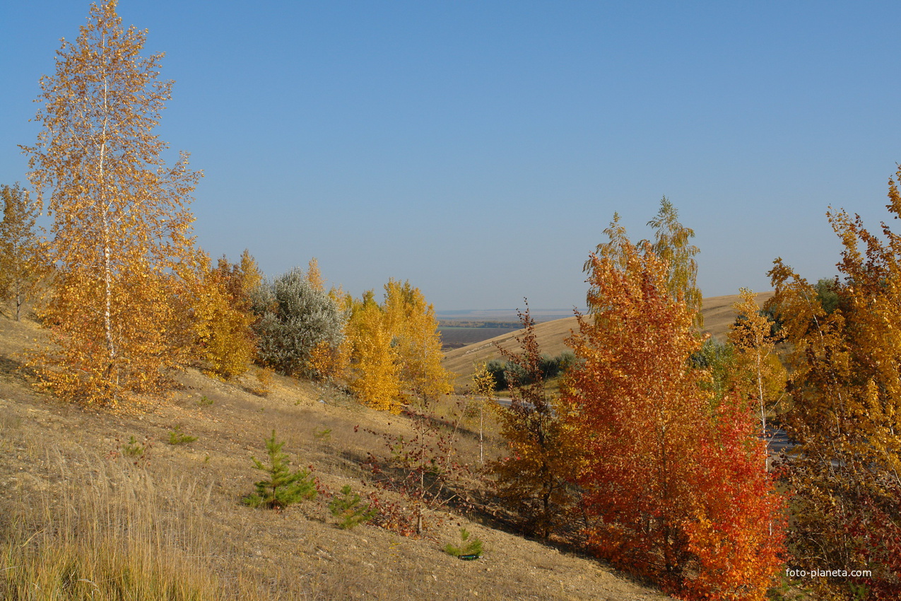 Золотая осень