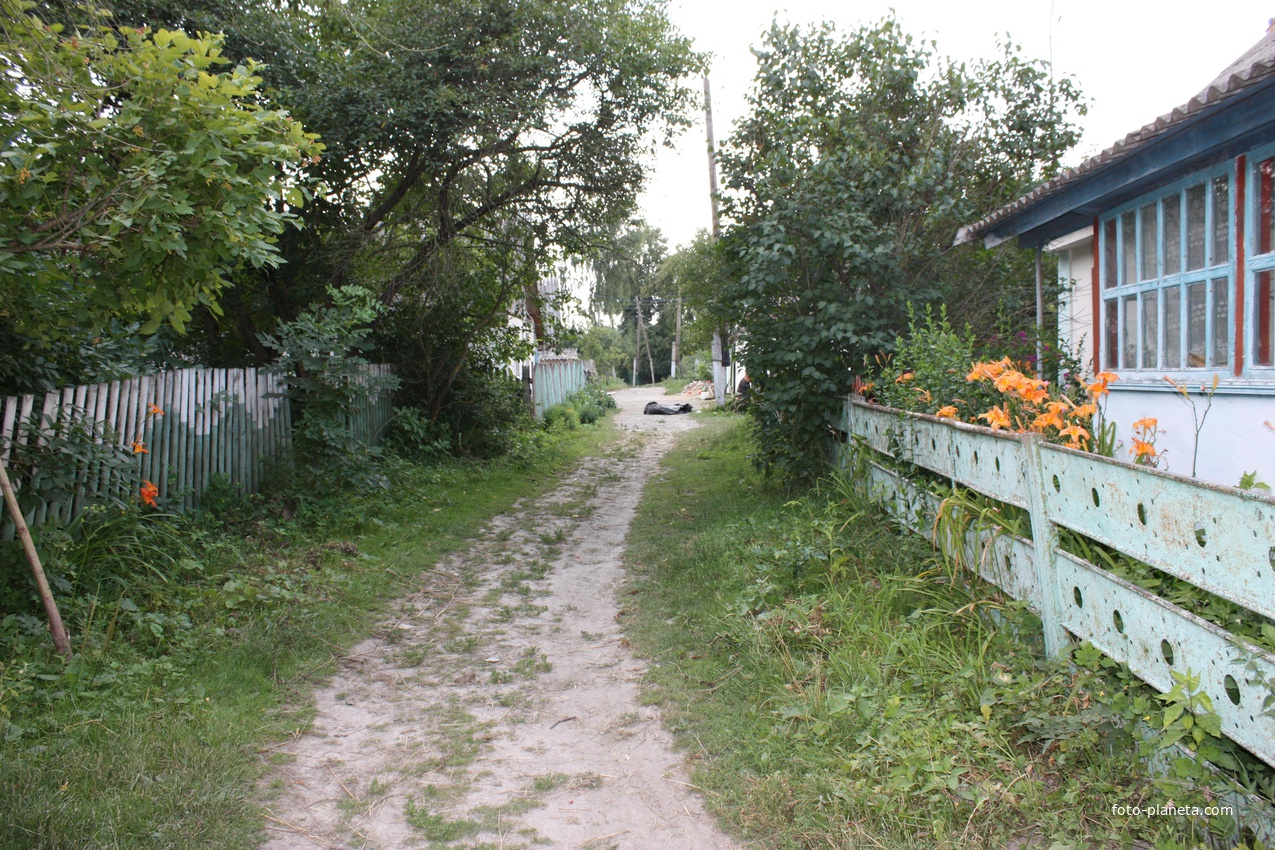 село Красноселка (ул.&quot;Котывка&quot;).
