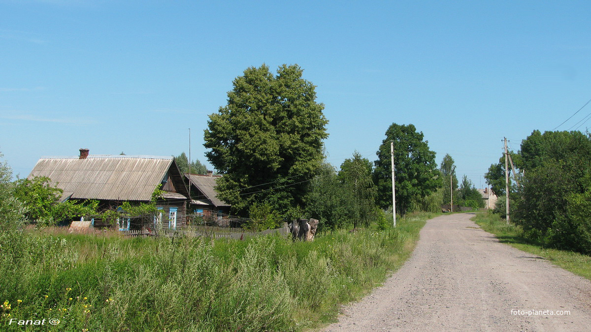 Улица Школьная, вид со стороны фермы