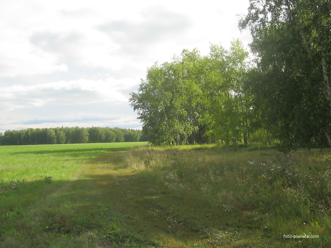 Орловка омская обл. Орловский лес Буденновск. Орловка Омская область.