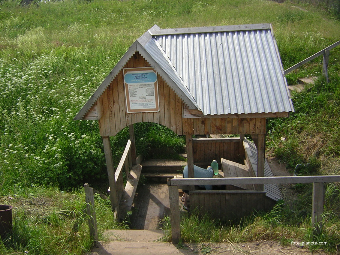 Родник у Соколинова