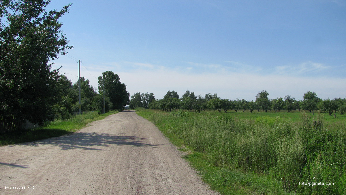 Улица Школьная, вид в сторону фермы