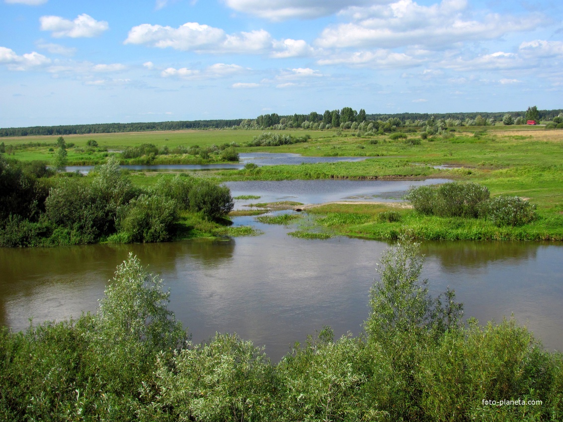 Заливы р. Стырь.