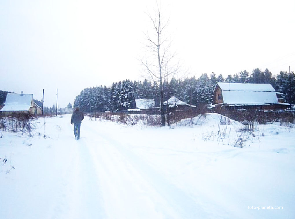 Деревня Алаево зимой