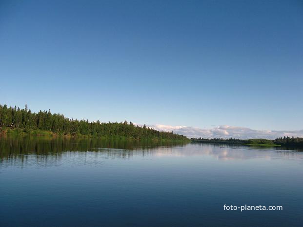 Река Ляпин. Хошлог. Западная Сибирь. ХМао-Югра. Июль 2011.