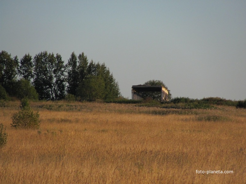д.Ачкасово, лето 2011 года, руины ачкасовского &quot;Парфенона&quot; на краю деревни.