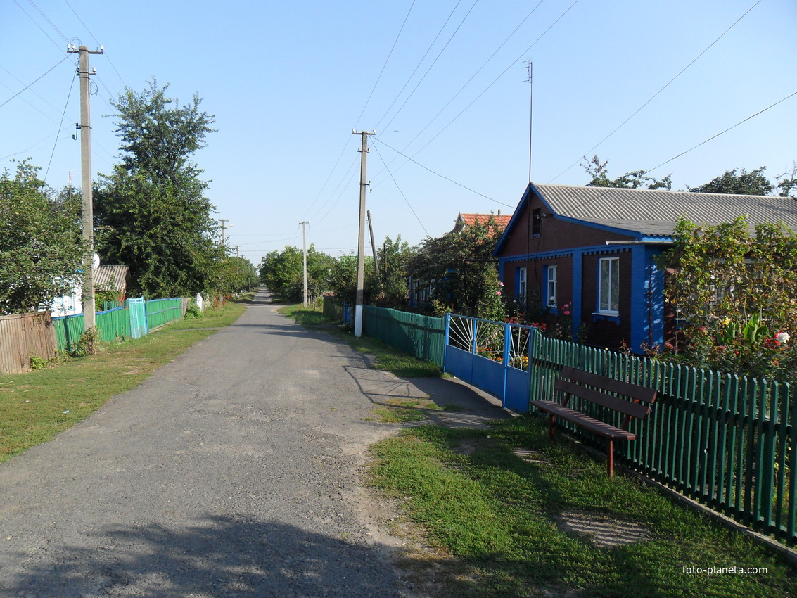 Село мичурина