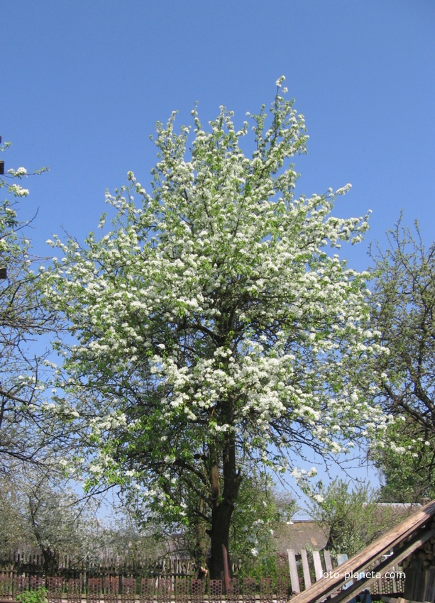 Оточная Слобода