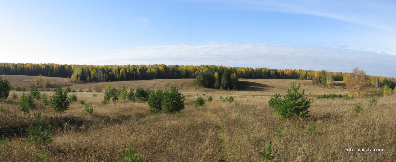 Дорога в Мызино