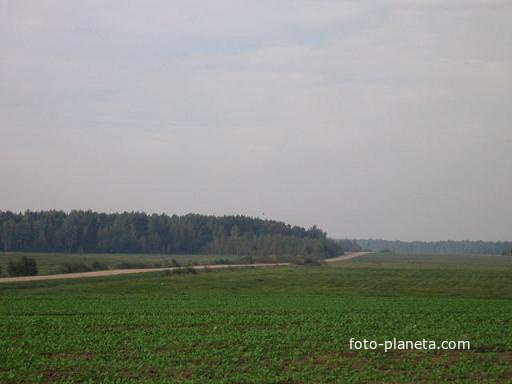 Оточная Слобода