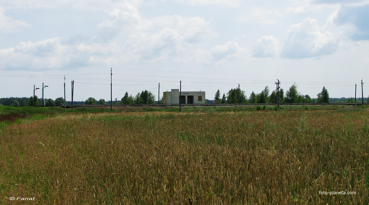Вид на остановочный пункт со стороны деревни , июль 2010г.