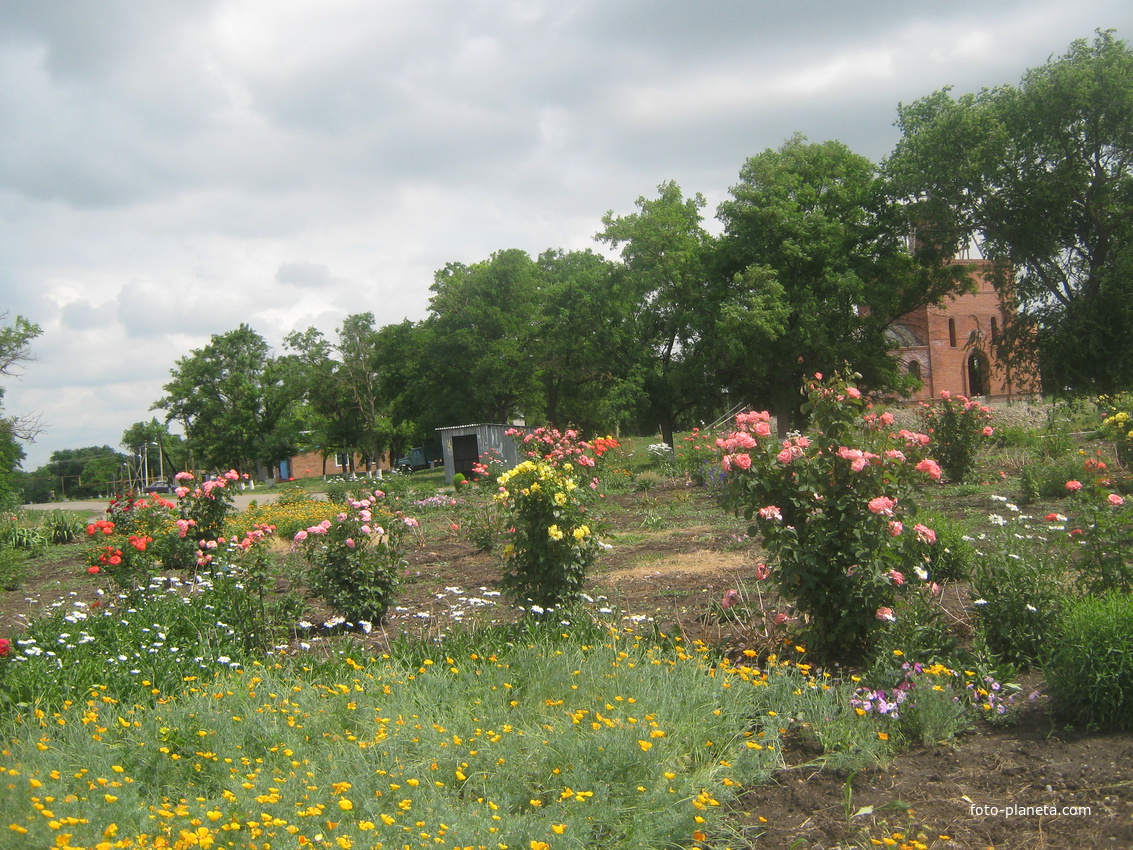 клумба в центре станицы