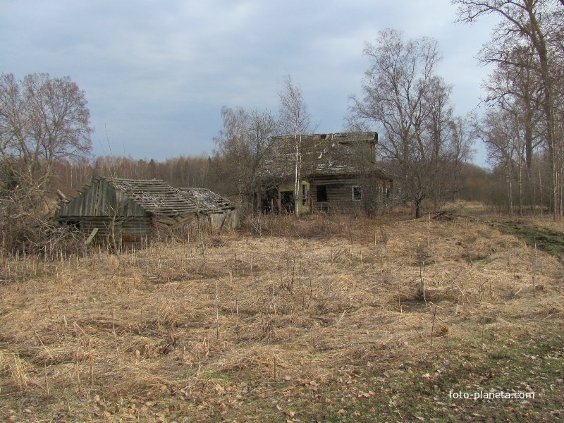 д.Тополево, весна 2010 года, остатки усадьбы колхозной семьи.