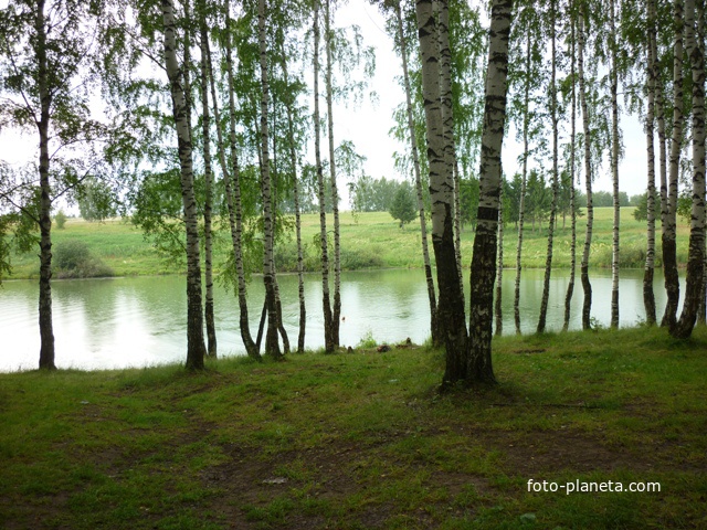 Килелей озеро из рощи