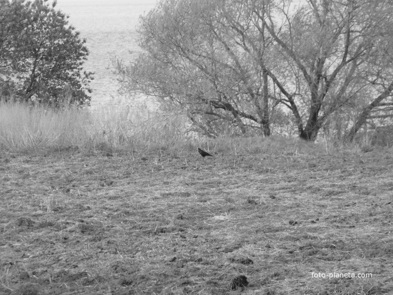 Ранняя весна