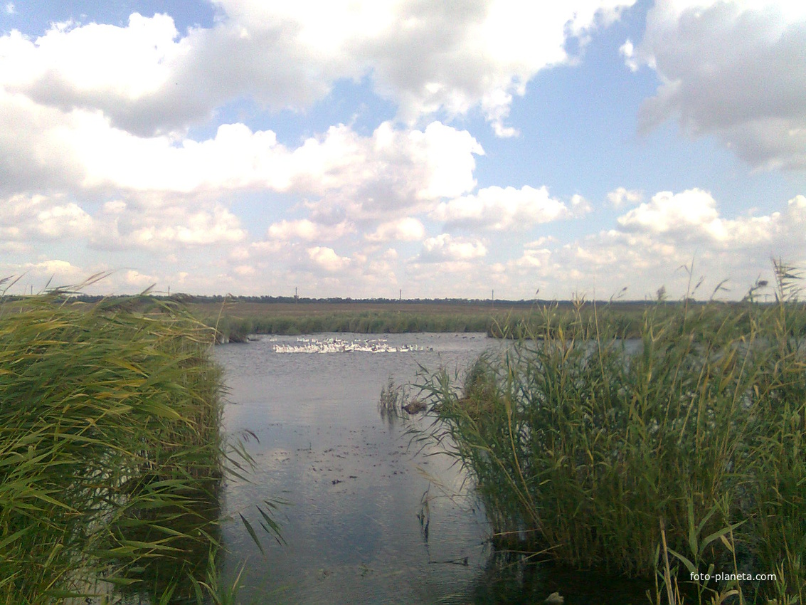 Жуковский пруд