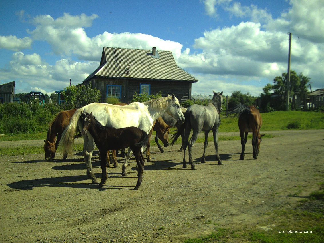 В деревне Воскресенка