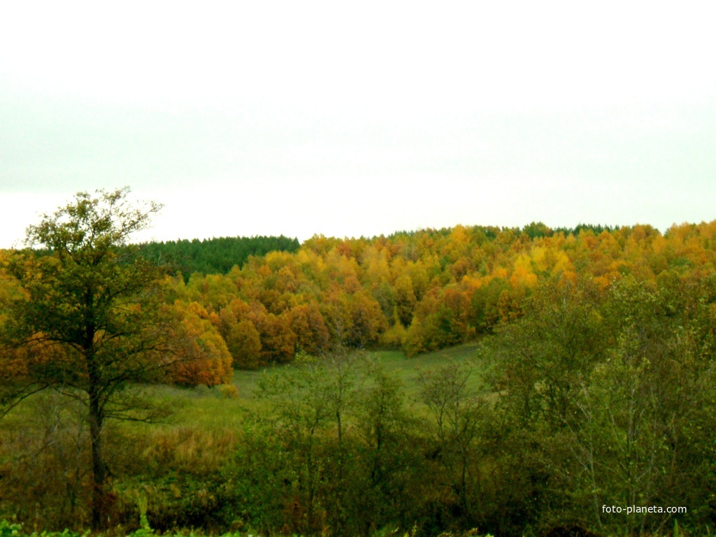 Осень в Алтаеве