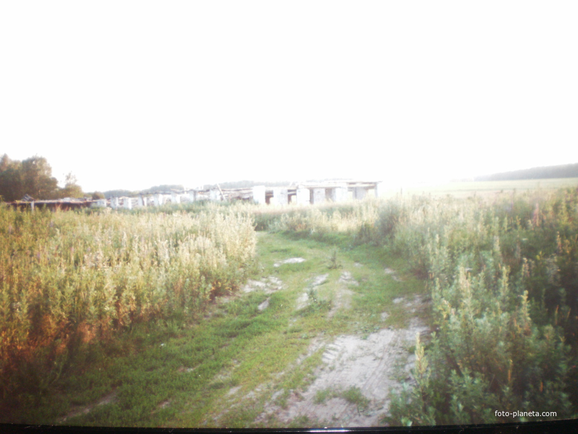 разрушенная ферма в деревне Малые Горки