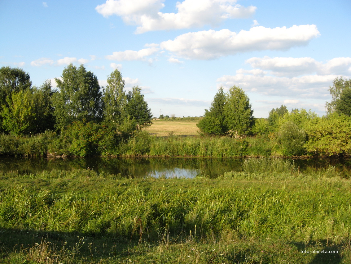 Голубча трубчевский район фото