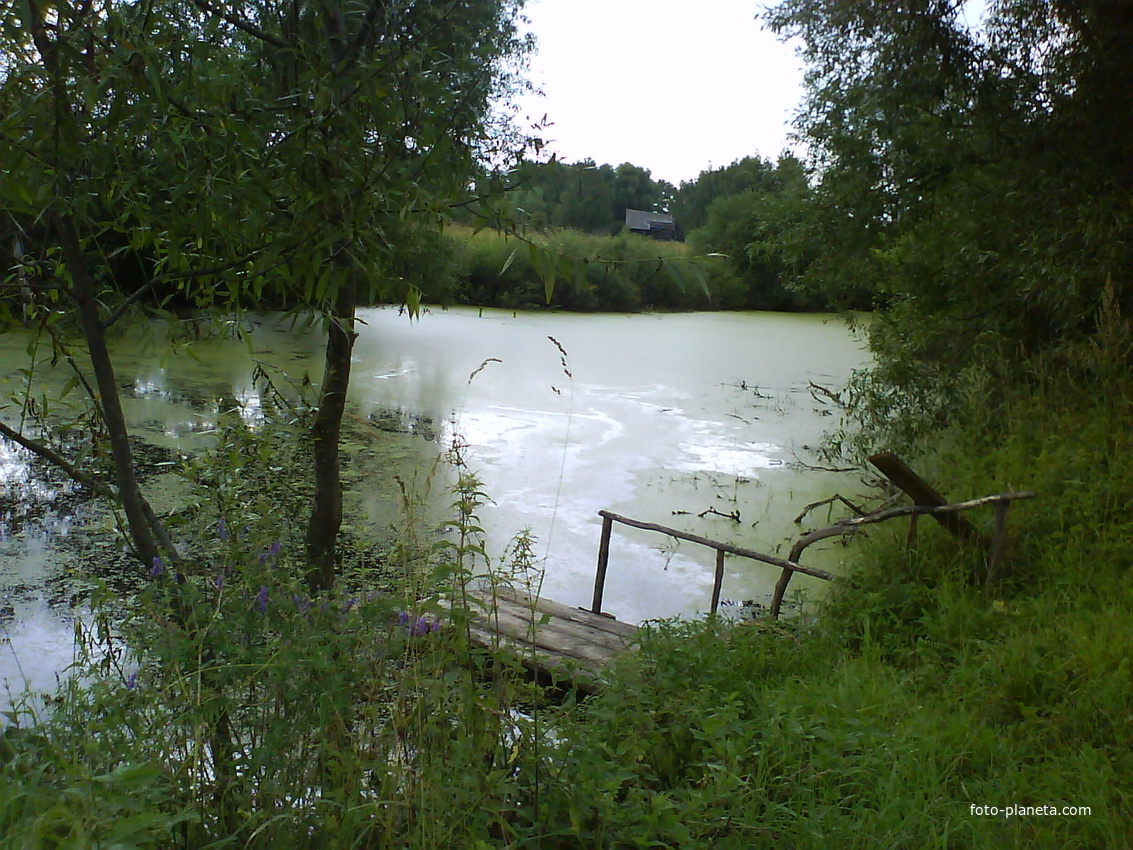 Пруд в селе Еропкино