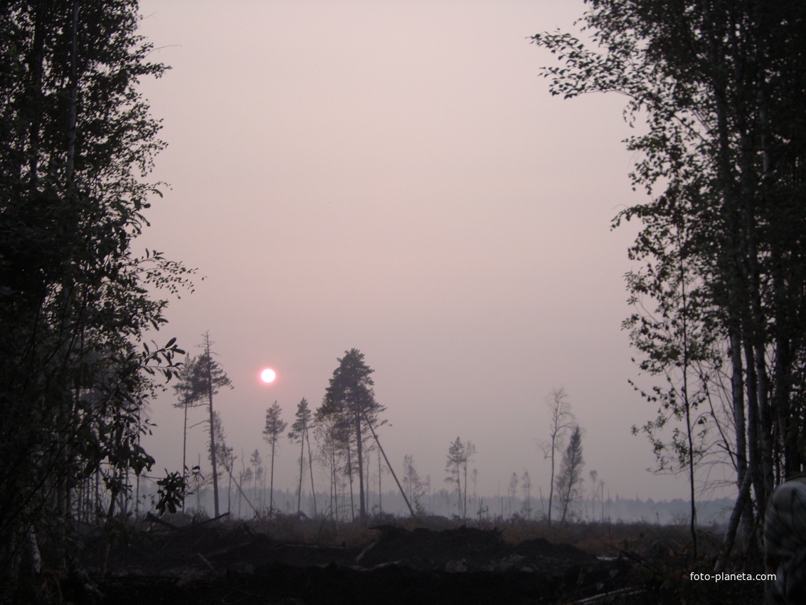 Пожар около Суводи 2010