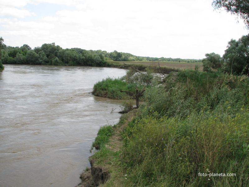 Река Кубань, хутор Духовской 2009 год