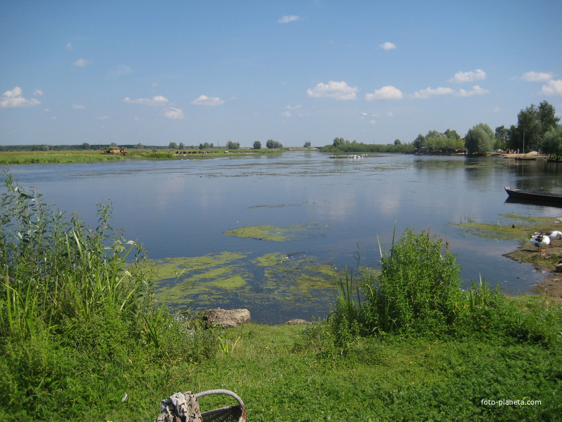 Озеро. 2008 г.