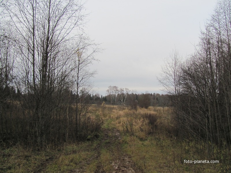 д.Завражье, осень 2011 года, вид  от бывшей околицы деревни со стороны д.Шишкино.