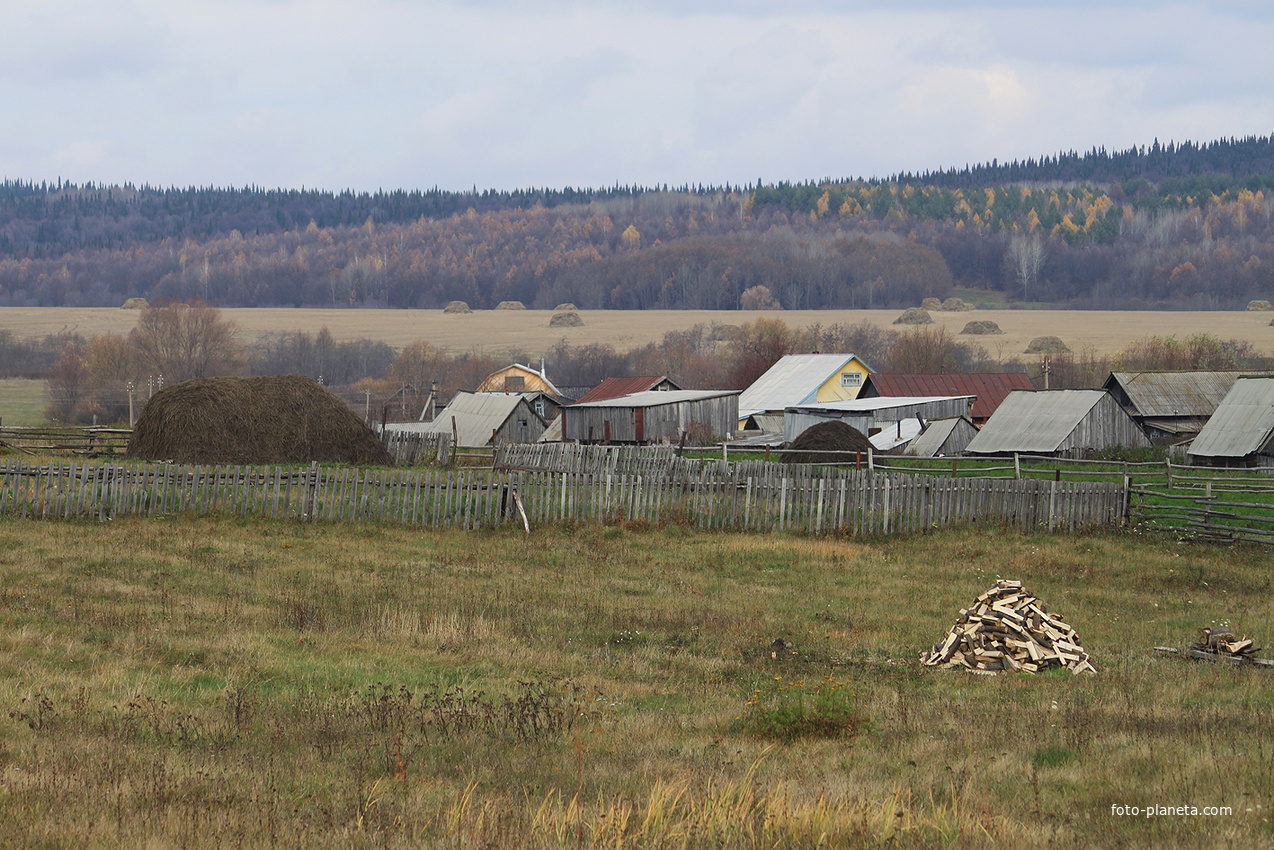 Алтаево. Вид на деревню.