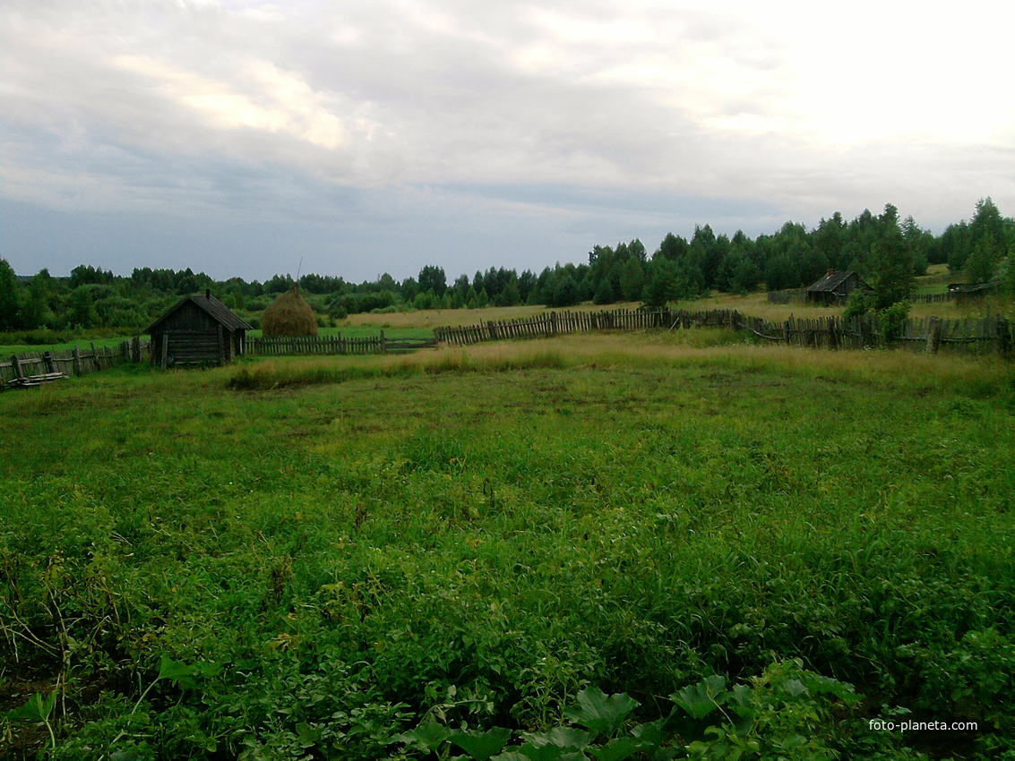 огород за домом | Салово (Макарьевский район) | Фотопланета