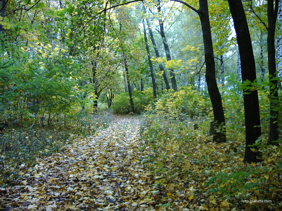 Осень в посёлке