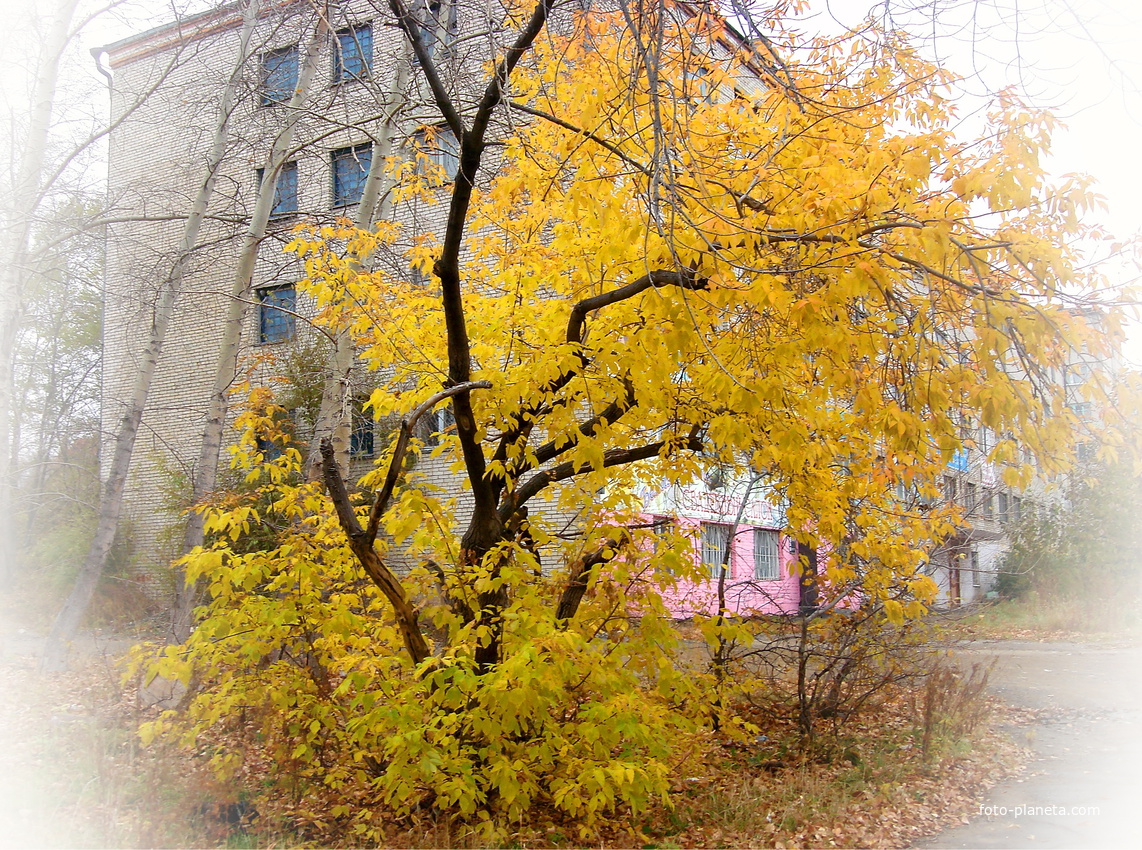 Осень в городе