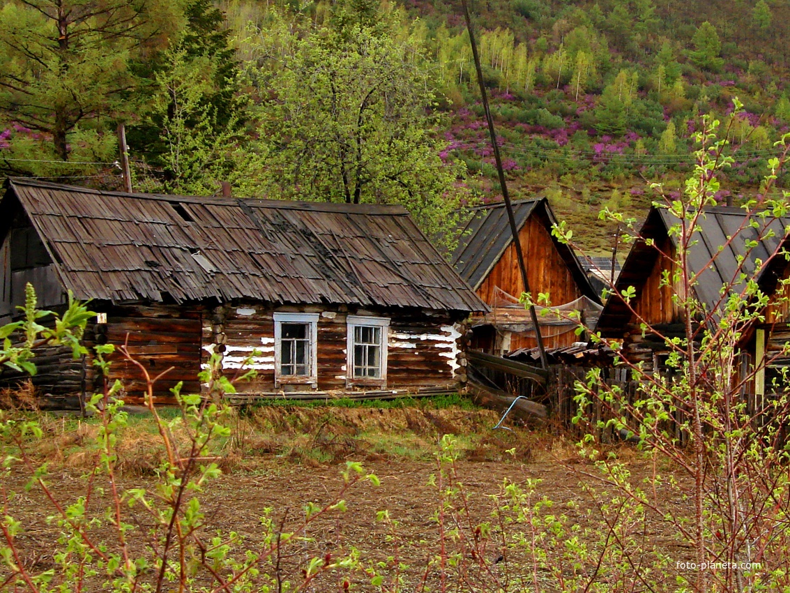 Погода в оглонгах. Поселок Оглонги. Село Оглонги Хабаровского края. Поселок имени Полины Осипенко Хабаровский край.